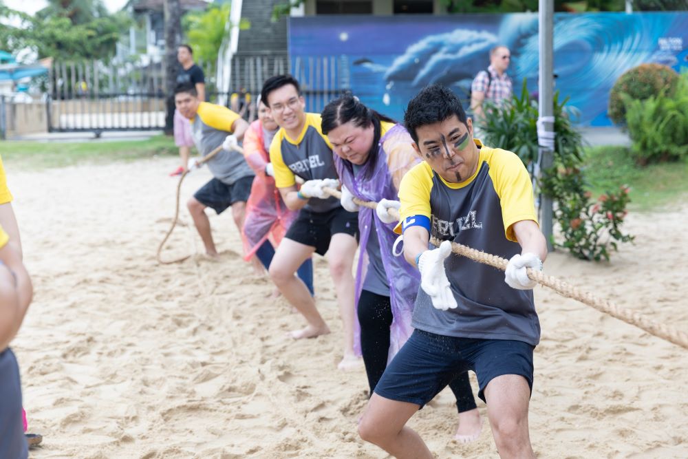 Ultimate Survivor Past Activity TB 4